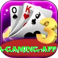 pak33 Mega Gaming App