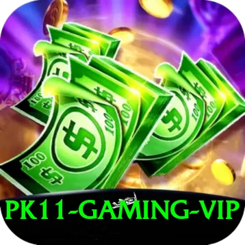 pk11 Gaming VIP - 2